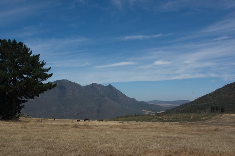 6 Bedroom Property for Sale in Piketberg Rural Western Cape